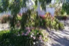 26 West Terrace, Hallett, SA 5419-Image