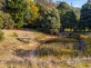 26 Whiteleys Road, Meander, Tas 7304-Image