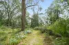 26 Wilkinson Street, Berrima, NSW 2577-Image