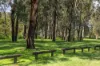 26 Wood Avenue, Carina, Qld 4152-Image