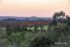 260 Flat Rock Road, Hurstbridge, Vic 3099-Image