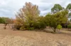 260 Old Bundarra Road, Inverell, NSW 2360-Image
