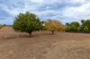 260 Old Bundarra Road, Inverell, NSW 2360-Image