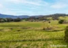 261 Donovan Road, Broughton Village, NSW 2534-Image