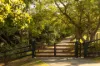 261 Moons Lane, Brookfield, Qld 4069-Image