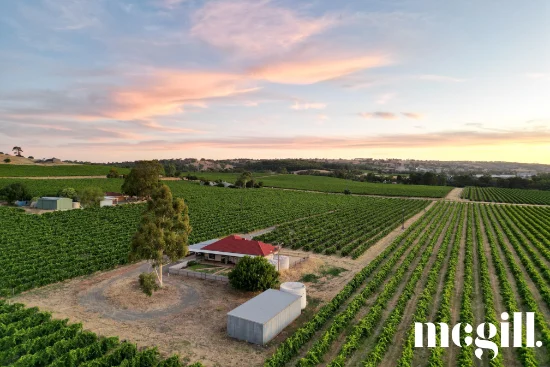 261 Saleyards Road, Penrice, SA 5353
