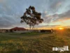 261 Saleyards Road, Penrice, SA 5353-Image