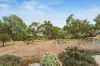261 Williams Road, Gould Creek, SA 5114-Image