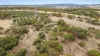 261 Williams Road, Gould Creek, SA 5114-Image