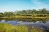 262 Cooroy Mountain Road, Cooroy Mountain, Qld 4563-Image
