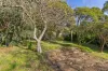 262 Forest Road, Boronia, Vic 3155-Image