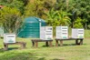 262 Hardwood Road, Beerwah, Qld 4519-Image