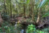 262 Hardwood Road, Beerwah, Qld 4519-Image