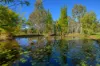262 Jimbour Road, The Palms, Qld 4570-Image