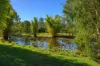 262 Jimbour Road, The Palms, Qld 4570-Image