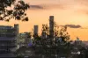 262 Oxford Street, Balmoral, Qld 4171-Image
