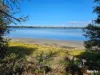 262 River and Rocks Road, Coles Bay, Tas 7215-Image