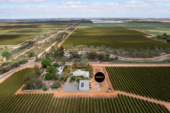 262 Wilga Road, Red Cliffs, Vic 3496