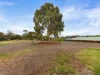 263 Alexander Avenue, Bibaringa, SA 5118-Image
