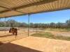 263 Greatorex Road, Ilparpa, NT 0873-Image