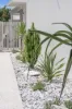 2632 The Address, Sanctuary Cove, Qld 4212-Image