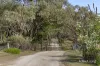 265 Pyrenees Highway, Elphinstone, Vic 3448-Image