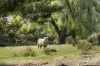 265 Pyrenees Highway, Elphinstone, Vic 3448-Image