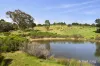 265 Pyrenees Highway, Elphinstone, Vic 3448-Image