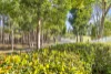 2659 The Address, Sanctuary Cove, Qld 4212-Image