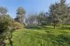 266 Binalong Street, Harden, NSW 2587-Image