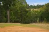 267 Gold Gully Road, East Nannup, WA 6275-Image