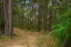 267 Gold Gully Road, East Nannup, WA 6275-Image