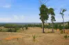 267 Gold Gully Road, East Nannup, WA 6275-Image