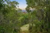 267 Gold Gully Road, East Nannup, WA 6275-Image