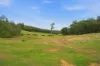 267 Gold Gully Road, East Nannup, WA 6275-Image