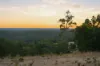 267 Gold Gully Road, East Nannup, WA 6275-Image