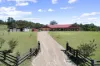 268 Lings Road, Buttai, NSW 2323-Image