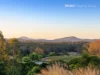 268 Neusavale Road, Wolvi, Qld 4570-Image