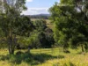 268 Neusavale Road, Wolvi, Qld 4570-Image