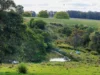 268 Neusavale Road, Wolvi, Qld 4570-Image