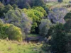 268 Neusavale Road, Wolvi, Qld 4570-Image