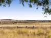 269 Gowrie Tilgonda Road, Gowrie Junction, Qld 4352-Image