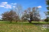 269 Guyong Road, Blayney, NSW 2799-Image