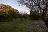 269 Pawson Avenue, Red Cliffs, Vic 3496-Image