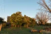 269 Pawson Avenue, Red Cliffs, Vic 3496-Image