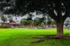 26a Cedar Avenue, West Croydon, SA 5008-Image