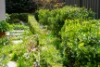 26A Charles Street, Wodonga, Vic 3690-Image