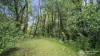 26A Coolamon Scenic Drive, Mullumbimby, NSW 2482-Image