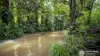26A Coolamon Scenic Drive, Mullumbimby, NSW 2482-Image