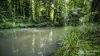 26A Coolamon Scenic Drive, Mullumbimby, NSW 2482-Image